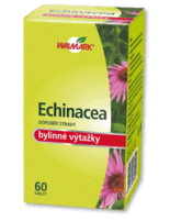 Echinacea 60