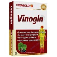 VINOGIN