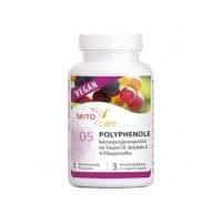 POLYPHENOLE x90 CAPS