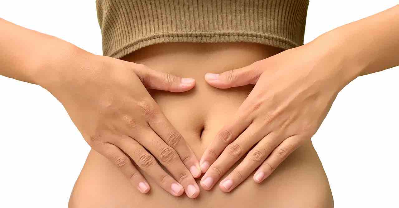 How to support a healthy digestive system