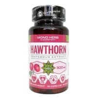 HAWTHORN – HAWTHORN EXTRACT – 60 CAPSULES X 300 MG