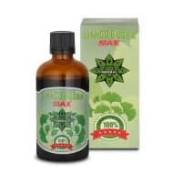 GINKGO BILOBA MAX