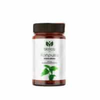NETTLE – SUPPORTS THE BONE SYSTEM