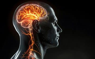 Brain Health Naturally: Enhancing Clarity and Energy with Herbal Care