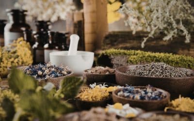 Improving Mental Performance Naturally: Herbal Remedies for Concentration
