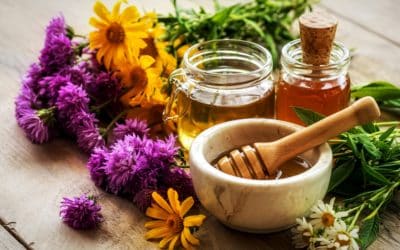 Gut Health Support with Natural Remedies: Relieving Bloating and Indigestion Safely