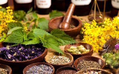 Natural Energy for Intimacy: How Herbs Improve Confidence and Desire
